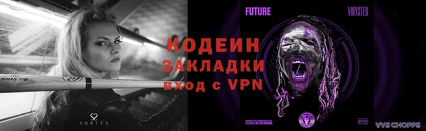 ГАЛЛЮЦИНОГЕННЫЕ ГРИБЫ Арсеньев