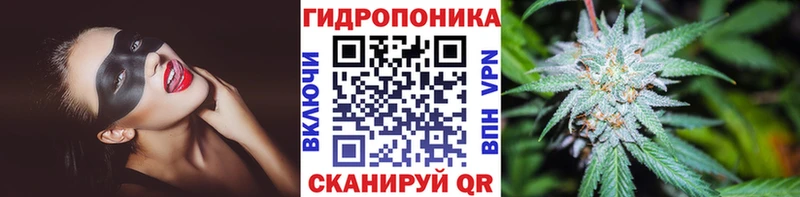 кракен ССЫЛКА  Козьмодемьянск  Конопля индика 